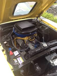 11147575_1110673775615343_5842040205955037618_o