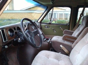 brunt i brunt med en smule grønt i